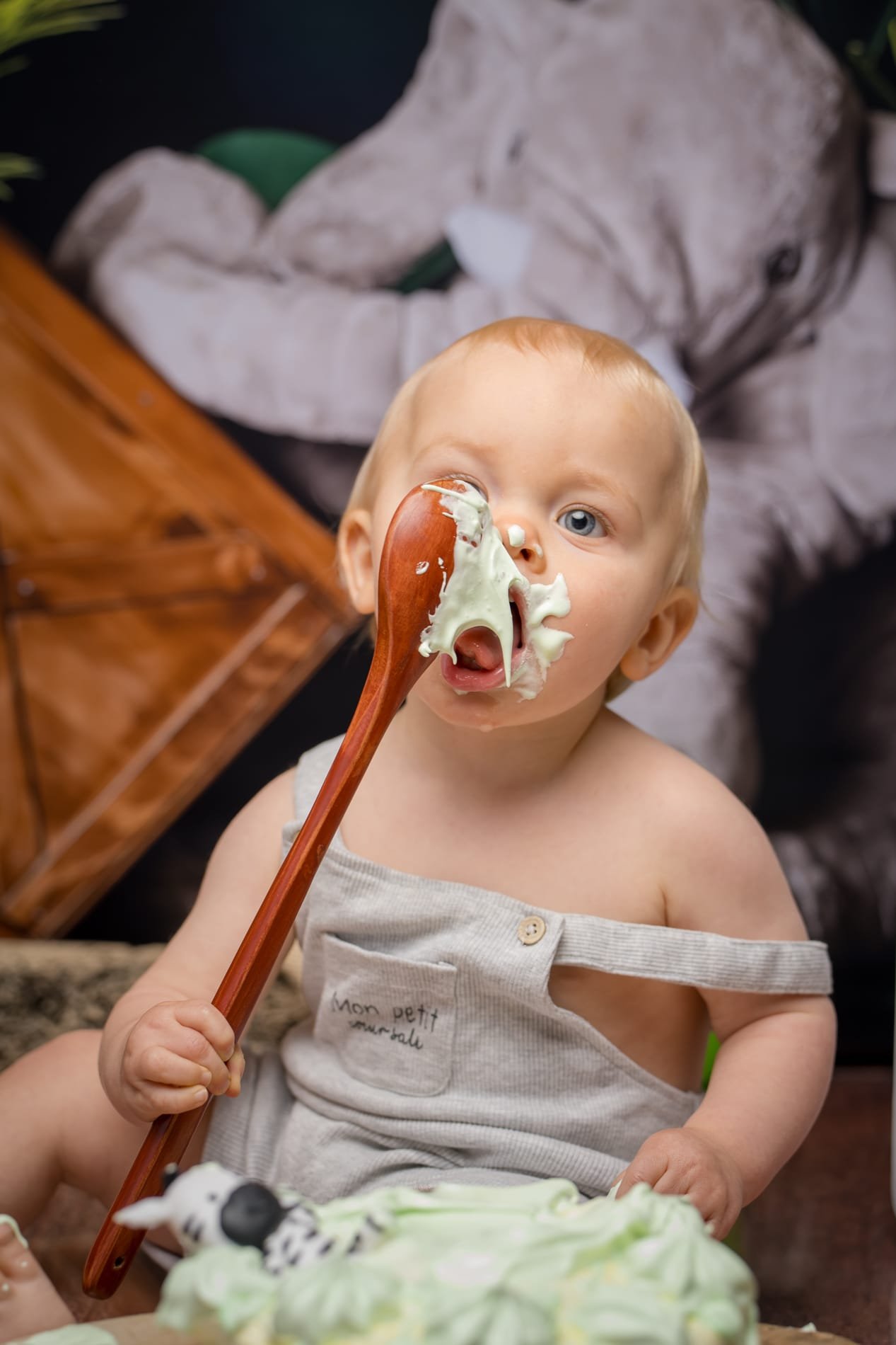 Séance photo Photographe Smash cake anniversaire bébé enfant Rouen Normandie